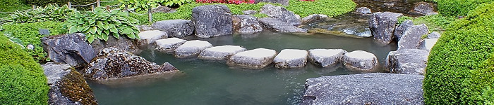 L�sungsorientierte Traumatherapie