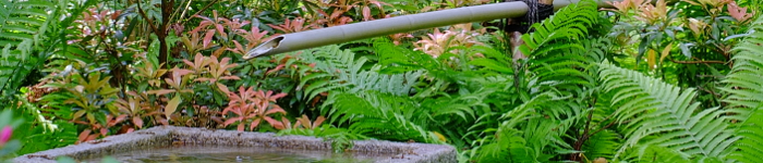 Kosten und Ablauf der systemischen Beratung und Therapie