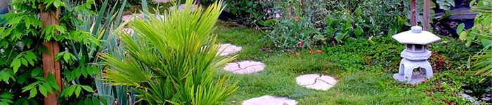 Online Therapie Beratung und Supervision