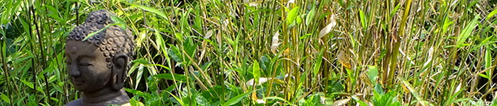 Systemische Selbsterfahrung