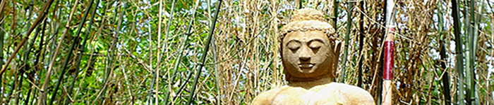 K�rperorientierte neuronale Selbstregulation